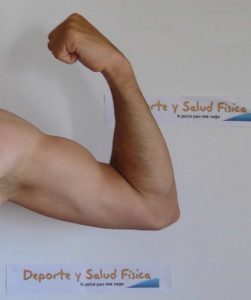 Ejercicios de fuerza. Aumenta tu metabolismo para perder grasa. Fuente imagen www.deporteysaludfisica.com