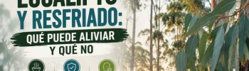 Eucalipto para costipado, resfriados
