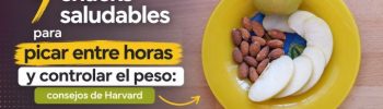 9 Snacks Saludables para Picar entre Horas sin Engordar: Consejos de Harvard