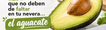 aguacate grasa saludable