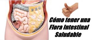 Como tener una flora intestinal saludable