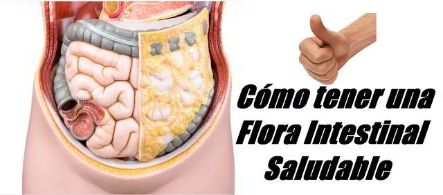 Como tener una flora intestinal saludable