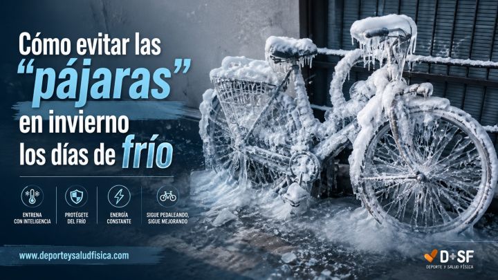 Aprende a evitar las pájaras los dias de frio
