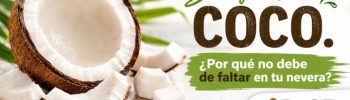 El coco y sus beneficios, un alimento nutritivo