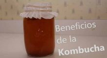 kombucha y sus beneficios para el deportista