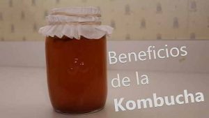 kombucha y sus beneficios para el deportista