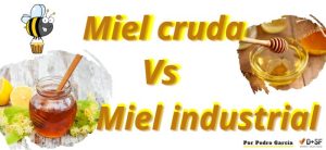 Diferencias miel cruda y miel industrial