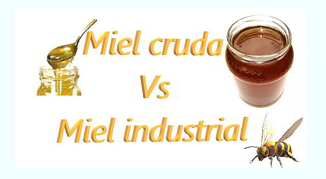 diverencias miel cruda y miel industrial