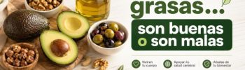 bolleria industrial con grasa trans