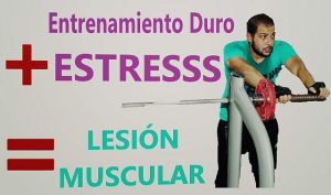 el estres provoca lesiones musculares y sobrecargas fuente imagen visualhunt.com