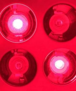 Luz roja