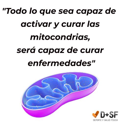 mitocondrias, recuperación y salud