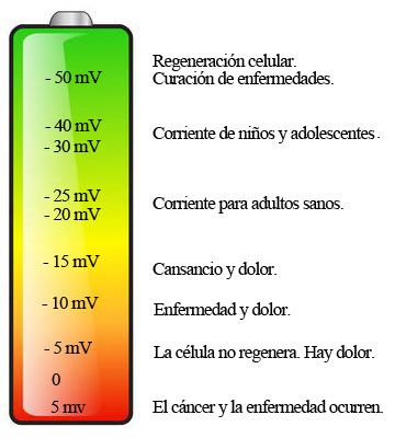 Energía celular. somos energía