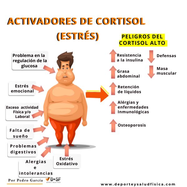 CAUSAS DEL CORTISOL ELEVADO