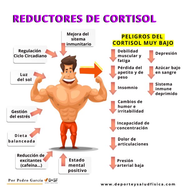 COMO TENER CORTISOL BAJO