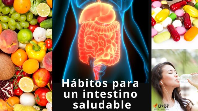 Alimentos para intestino permeable