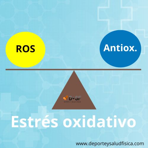 que es el estrés oxidativo y los radicales libres