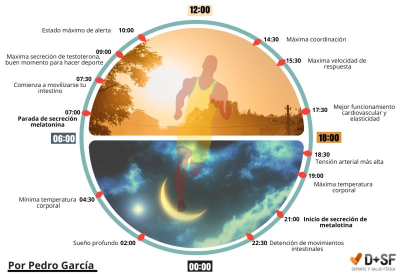 noche y día ciclo circadiano Luz y ciclo circadiano