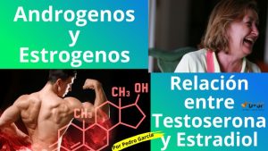 Testosterona y el Estradiol
