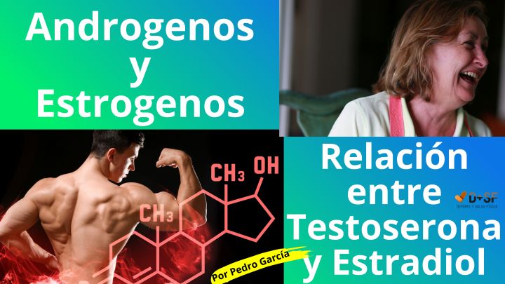 Testosterona y el Estradiol