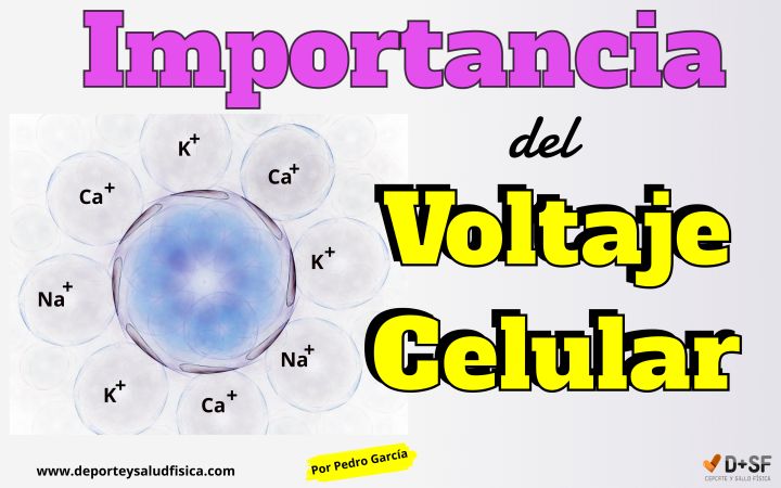 voltaje celular