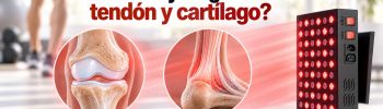 Regeneración de cartílago con luz roja. ¿Cómo se hace?